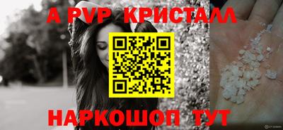 СК Донецк