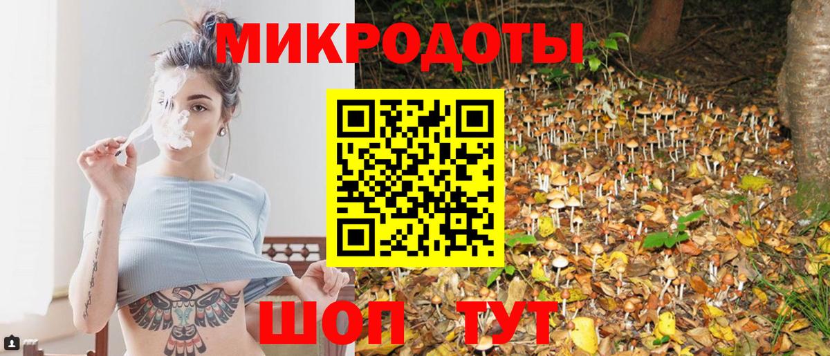 Псилоцибиновые грибы мицелий Дюртюли