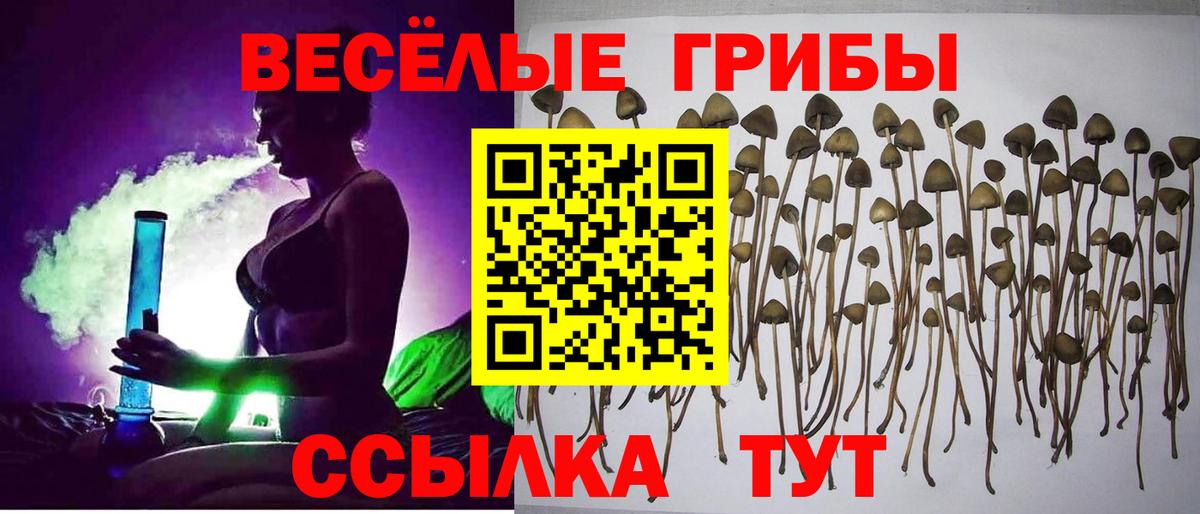 Псилоцибиновые грибы GOLDEN TEACHER  Вход с VPN  Дюртюли 